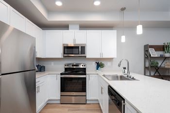 Stainless steel appliances including built-in microwave, refrigerator, and dishwasher